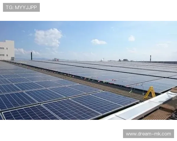 太阳足迹中心发布最新研究报告：探索可持续能源的未来方向